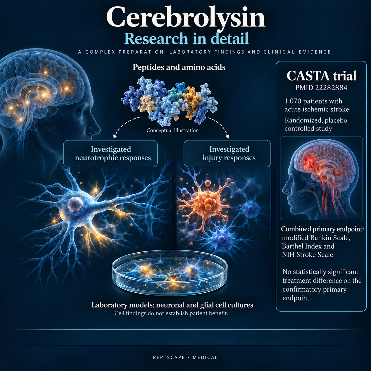 Cerebrolysin: Medical scientific diagram. Open full size to read labels; evidence and limitations appear in the profile.