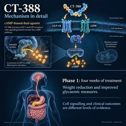 CT-388: Medical scientific diagram. Open full size to read labels; evidence and limitations appear in the profile.