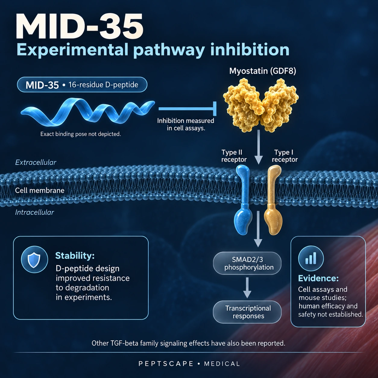 MID-35: Medical scientific diagram. Open full size to read labels; evidence and limitations appear in the profile.