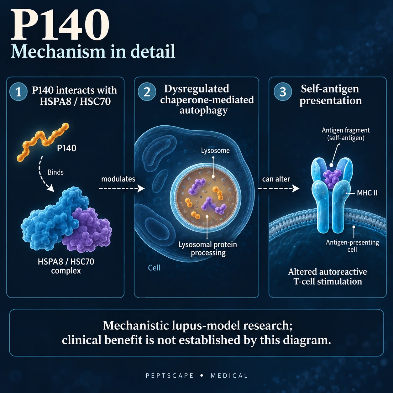 P140: Medical scientific diagram. Open full size to read labels; evidence and limitations appear in the profile.