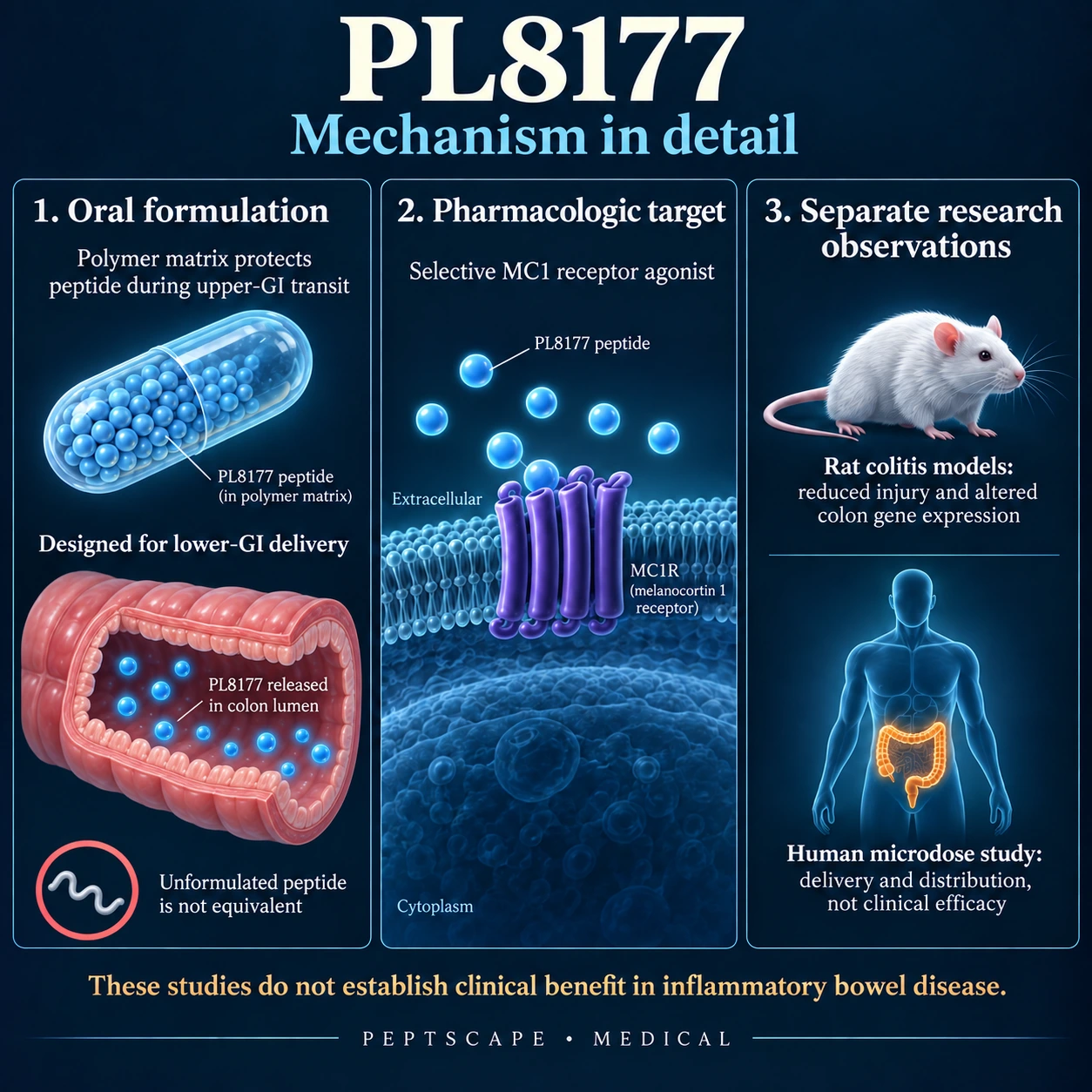 PL8177: Medical scientific diagram. Open full size to read labels; evidence and limitations appear in the profile.